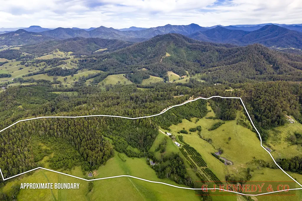 344 Williams Hill Rd, Talarm, NSW 2447