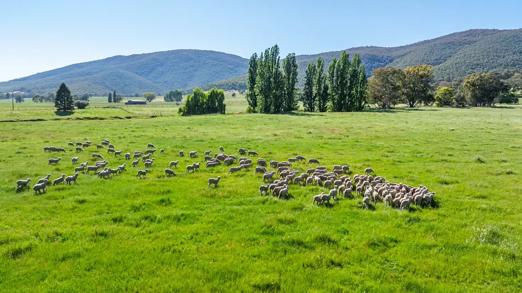 Leneva  WODONGA GROWTH CORRIDOR