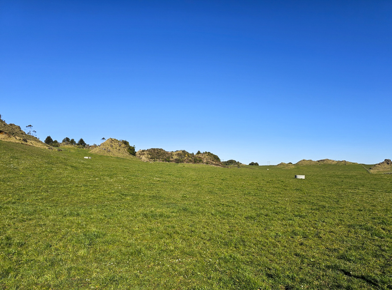 162 Amoore Road, Hamurana, Rotorua, 0 રૂમ, 0 બાથરૂમ, Grazing