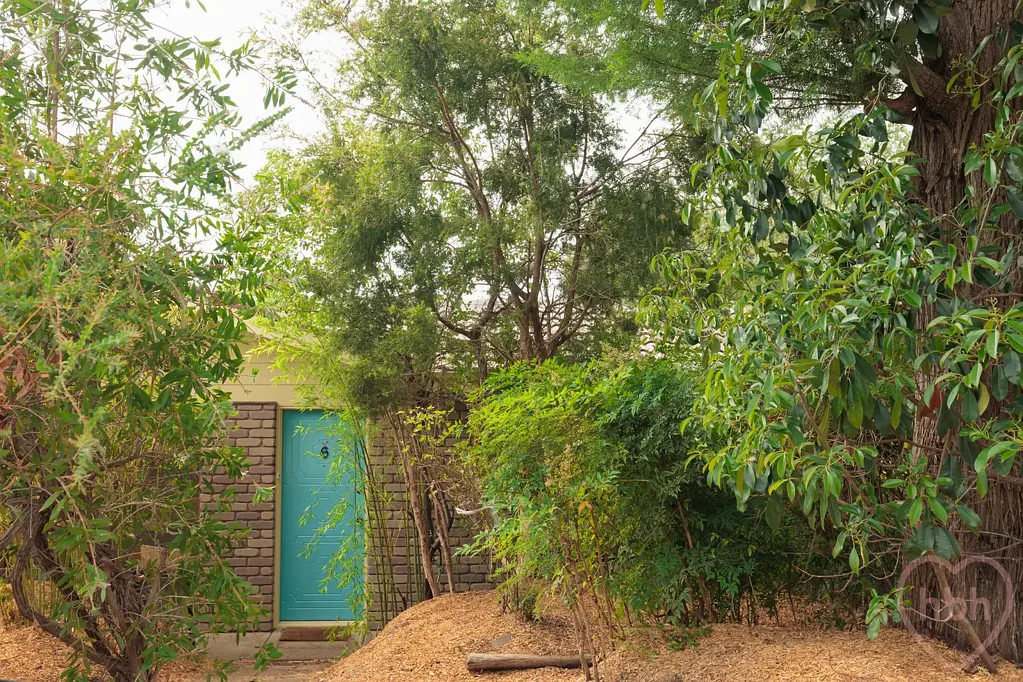 6 Tilden Place, Cook, ACT 2614
