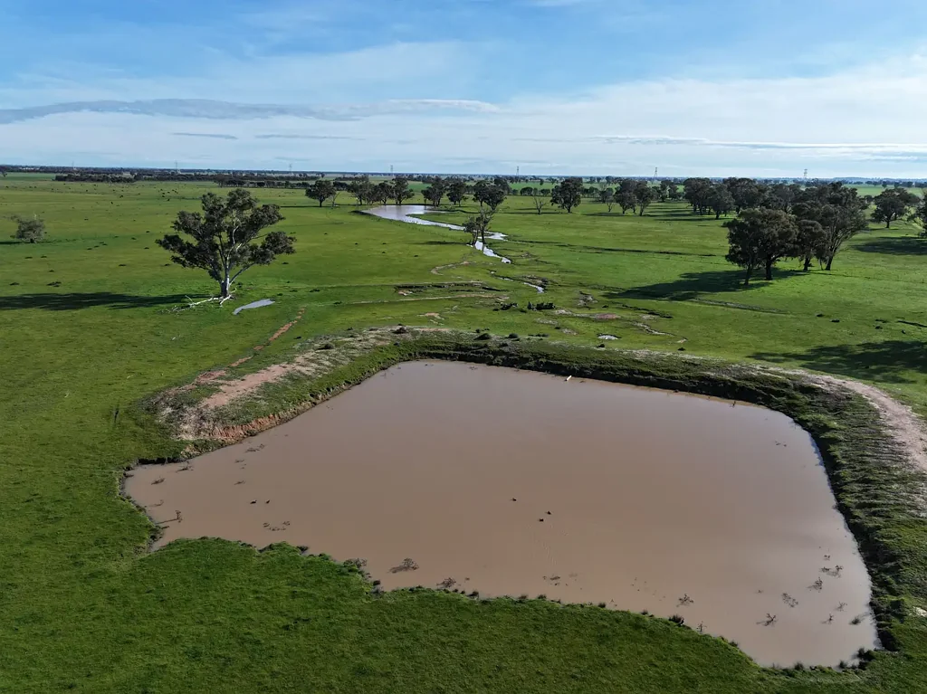 The Rock Rare Small Rural Property Provides Gateway To Rural Property Ownership