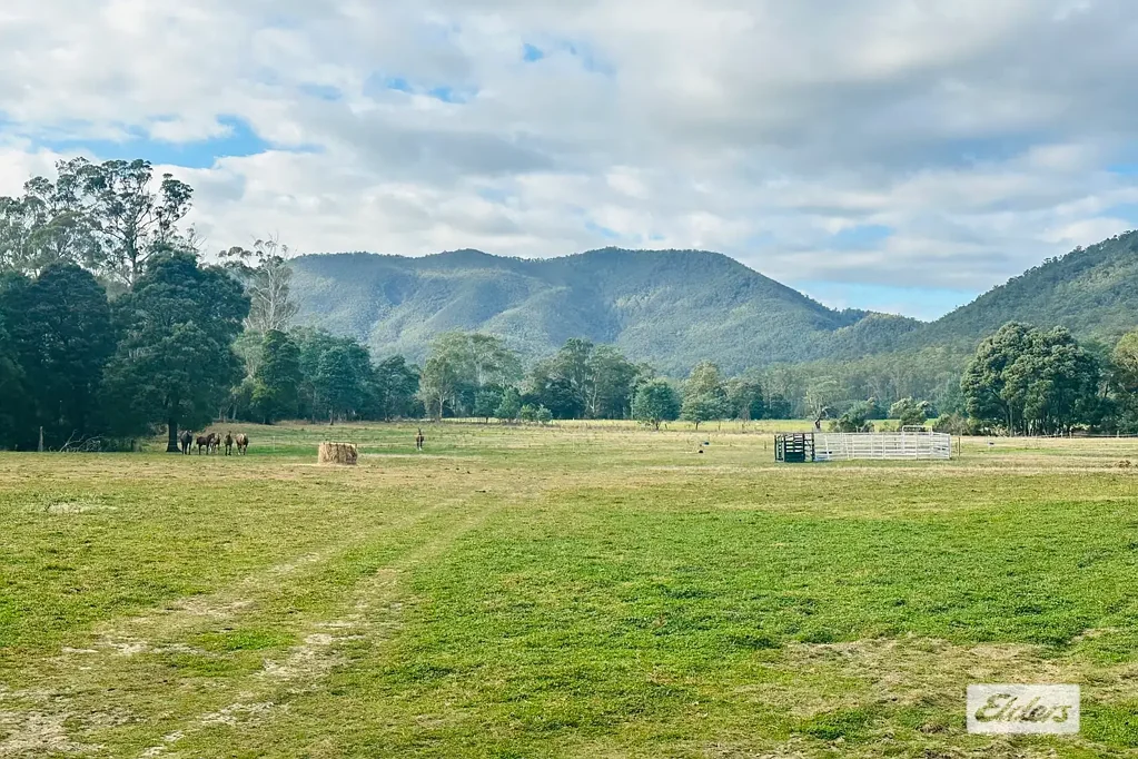 - Lowana Road, Gunns Plains, TAS 7315