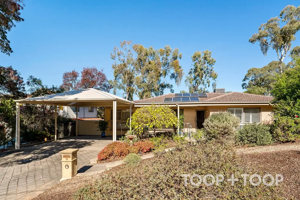 11 Windsor Road, Highbury, SA 5089