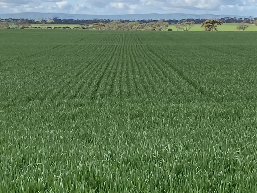 Alford  Cropping Land for Lease