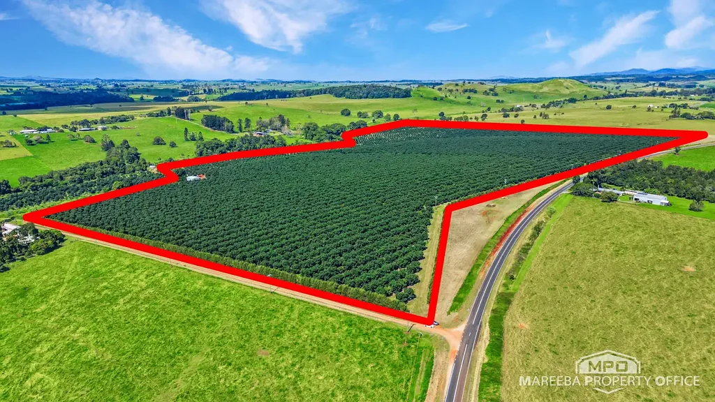 Upper Barron  160-ACRE HASS AVOCADO ENTERPRISE - FERTILE VOLCANIC SOILS