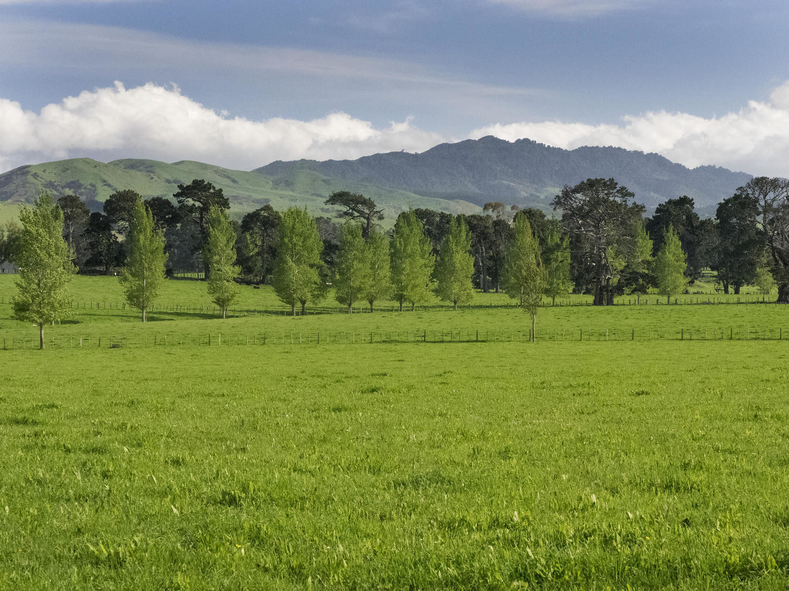 398 Opaki Kaiparoro Road, Kopuaranga, Masterton, 0房, 0浴