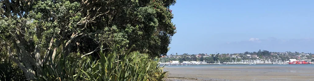 Waiotaiki Bay