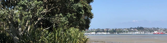 Waiotaiki Bay