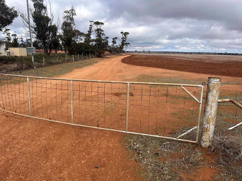 Southern Cross 'Very good value here, open, quality country with improvements'