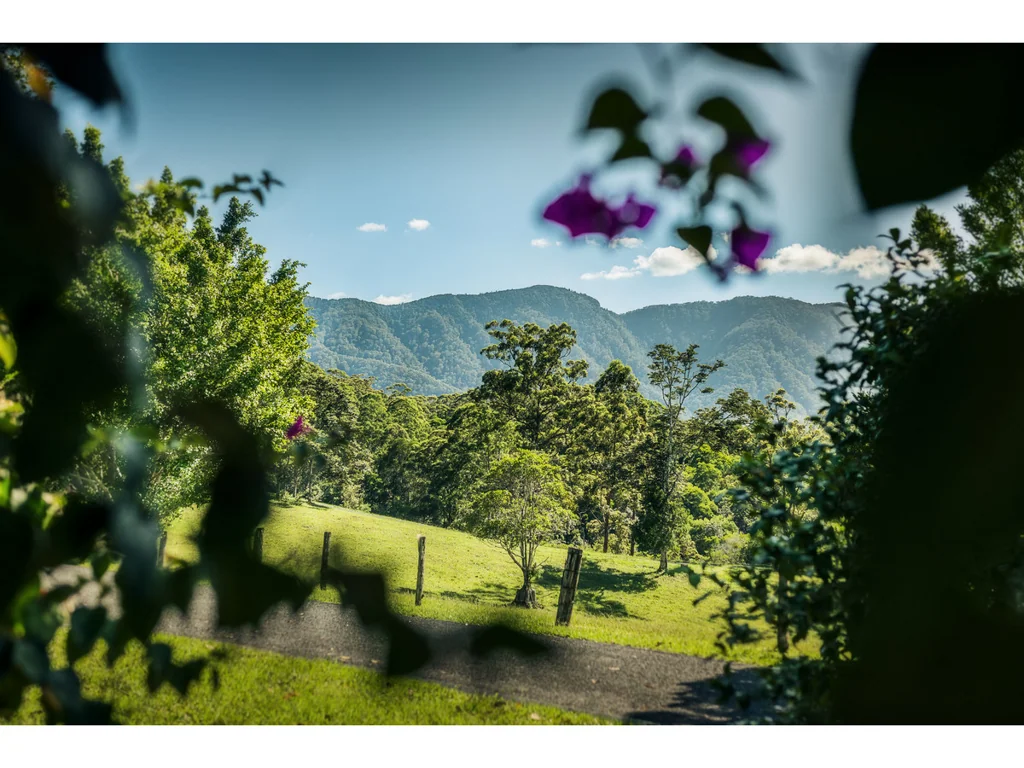 Bellingen Truly magnificent.......