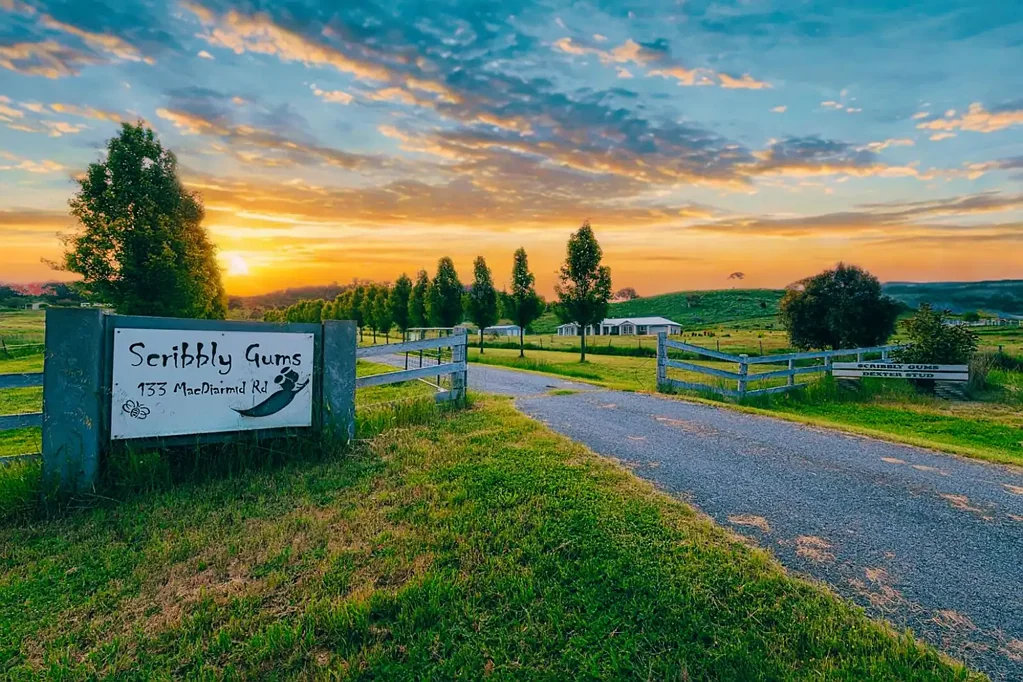 Burra 5部屋 ‘Scribbly Gums’ - Acreage Elegance, Luxury Living, Lifestyle & Land