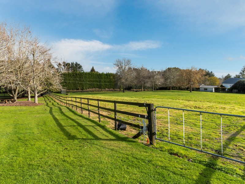 131 Hereford Road, Oropi, Bay Of Plenty, 5房, 0浴