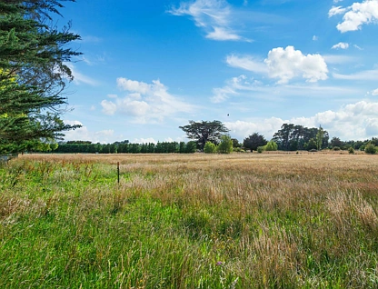 41 Donald Street, Featherston, South Wairarapa, 2部屋, 1バスルーム, Lifestyle Property