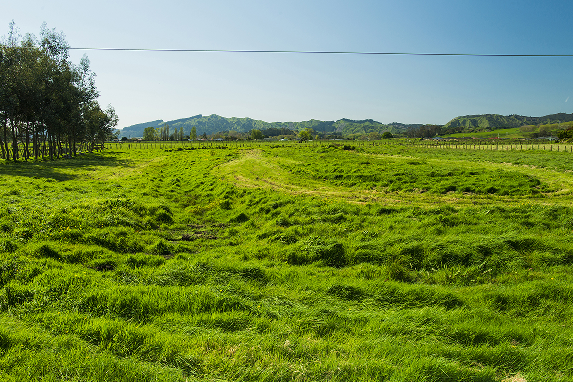 495a Nelson Road, Riverdale, Gisborne, 4房, 0浴