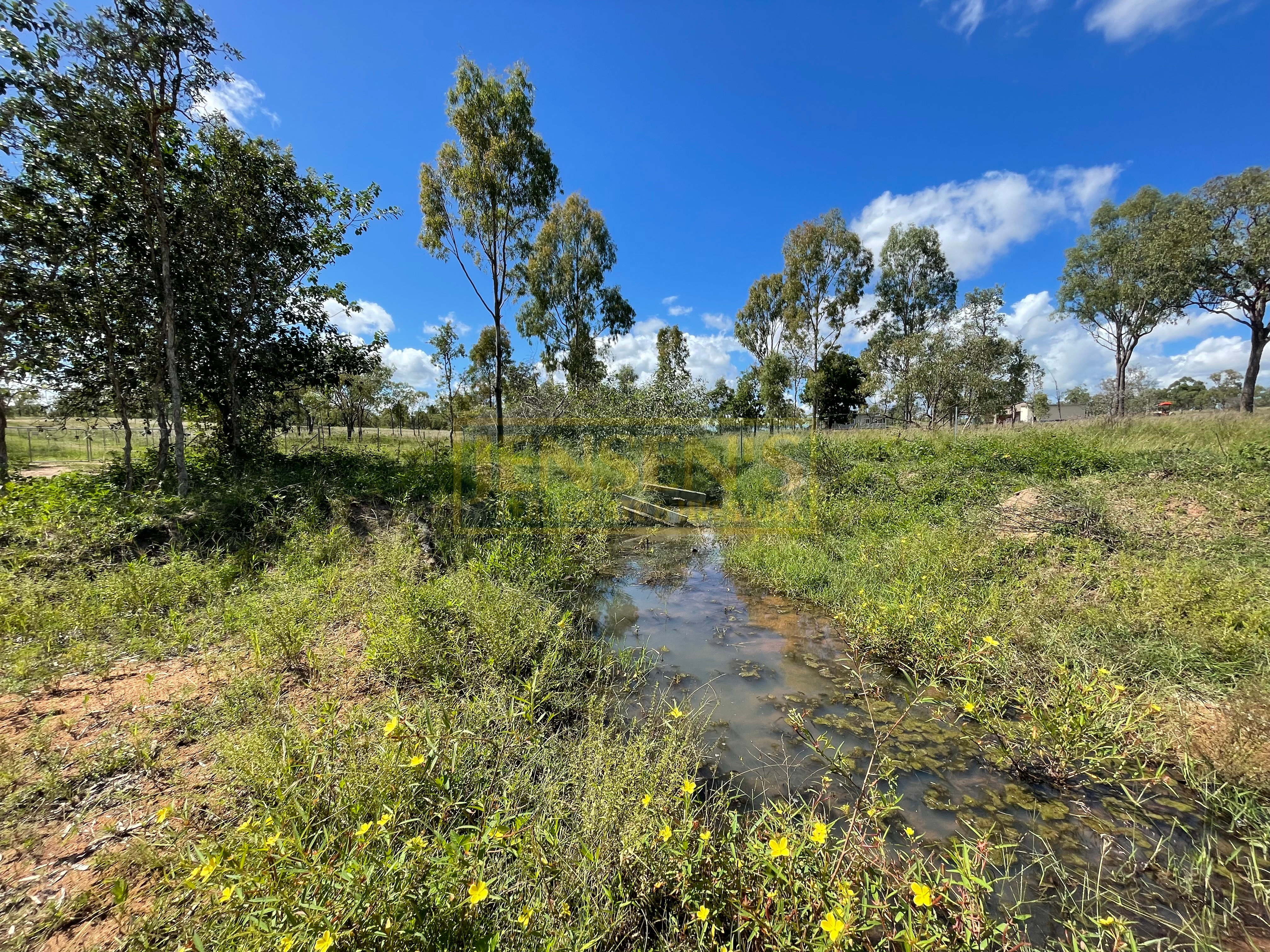 438 BLUFF RD, BROUGHTON QLD 4820, 0 phòng ngủ, 0 phòng tắm, Section