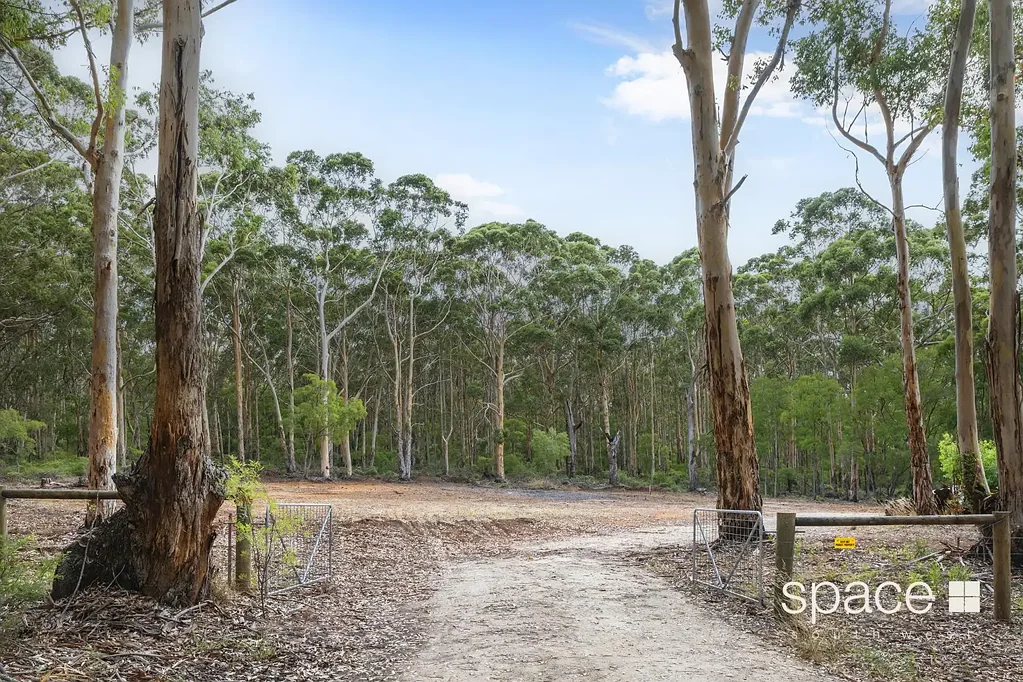 Karridale Boranup Forest
