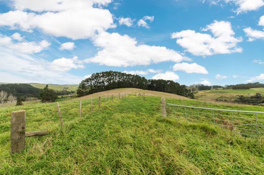 1128 Peak Road, Helensville, Auckland - Rodney, 4 chambres, 2 salles de bain