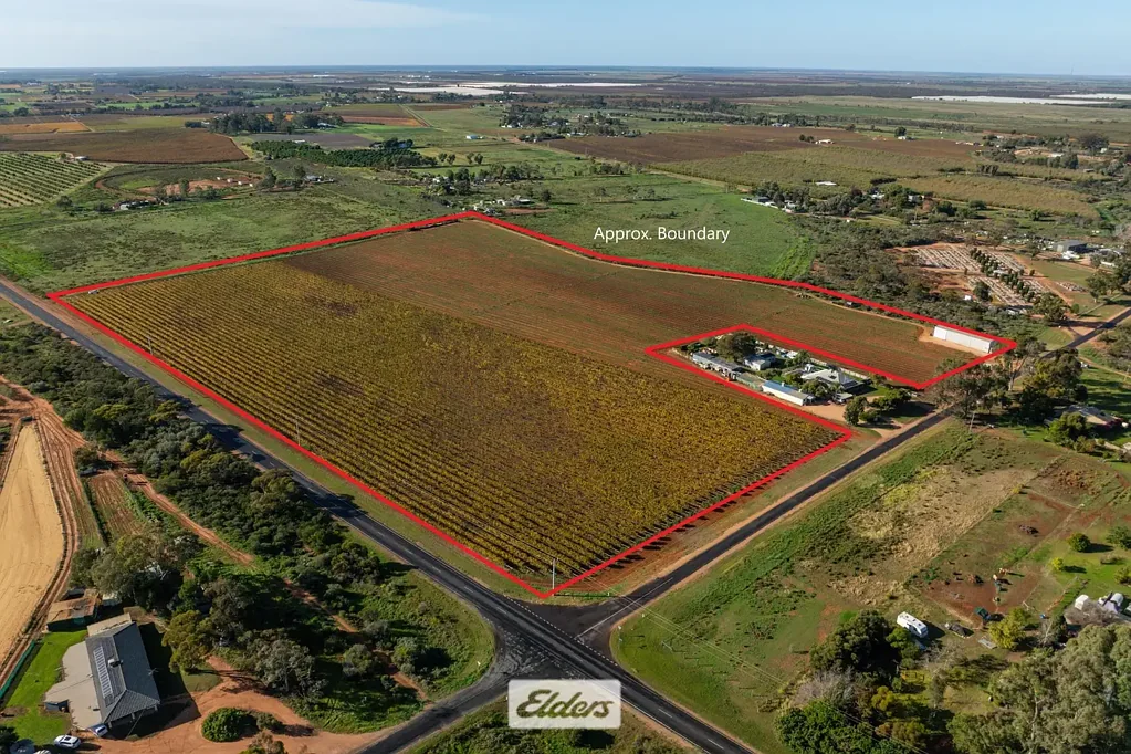 Red Cliffs QUALITY SOILS, EXCELLENT INFRASTRUCTURE & CLOSE TO TOWN
