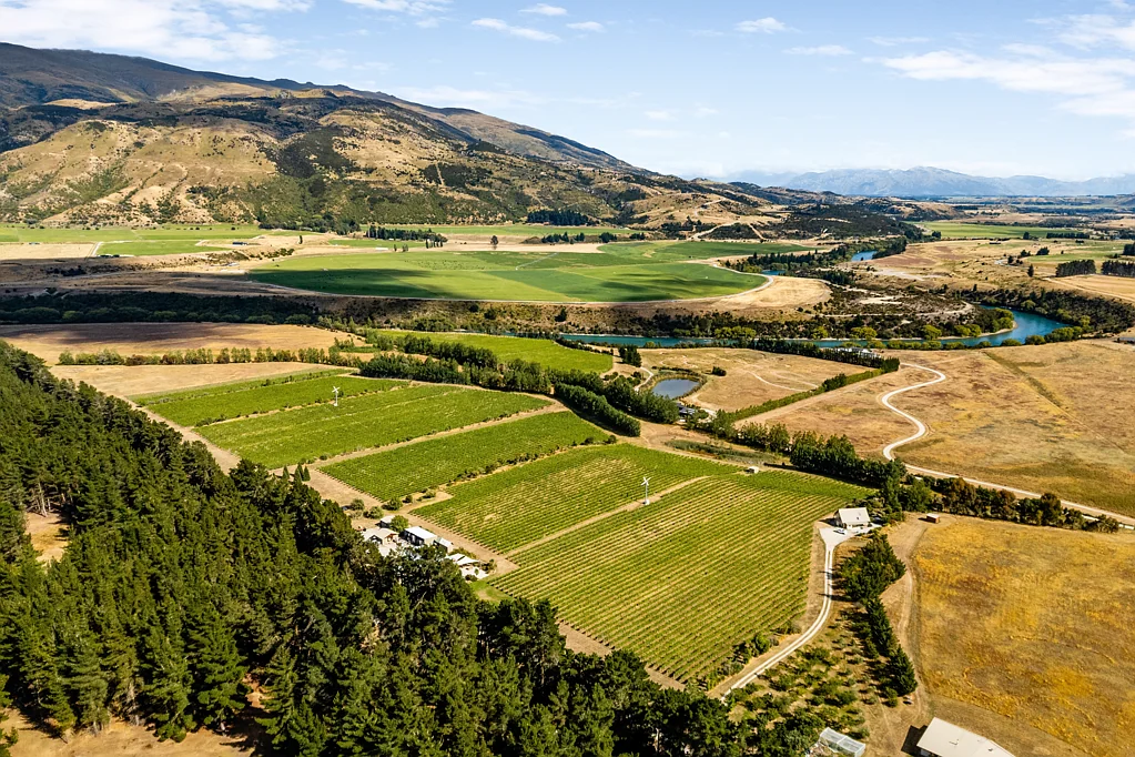 Cromwell  Wines, Vines and Lifestyle