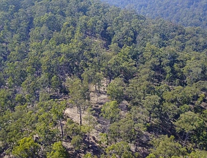 Lot 751 Smiths Creek Road, Upper Copmanhurst, North Coast, 0 Bedrooms, 0 Bathrooms, Lifestyle Property