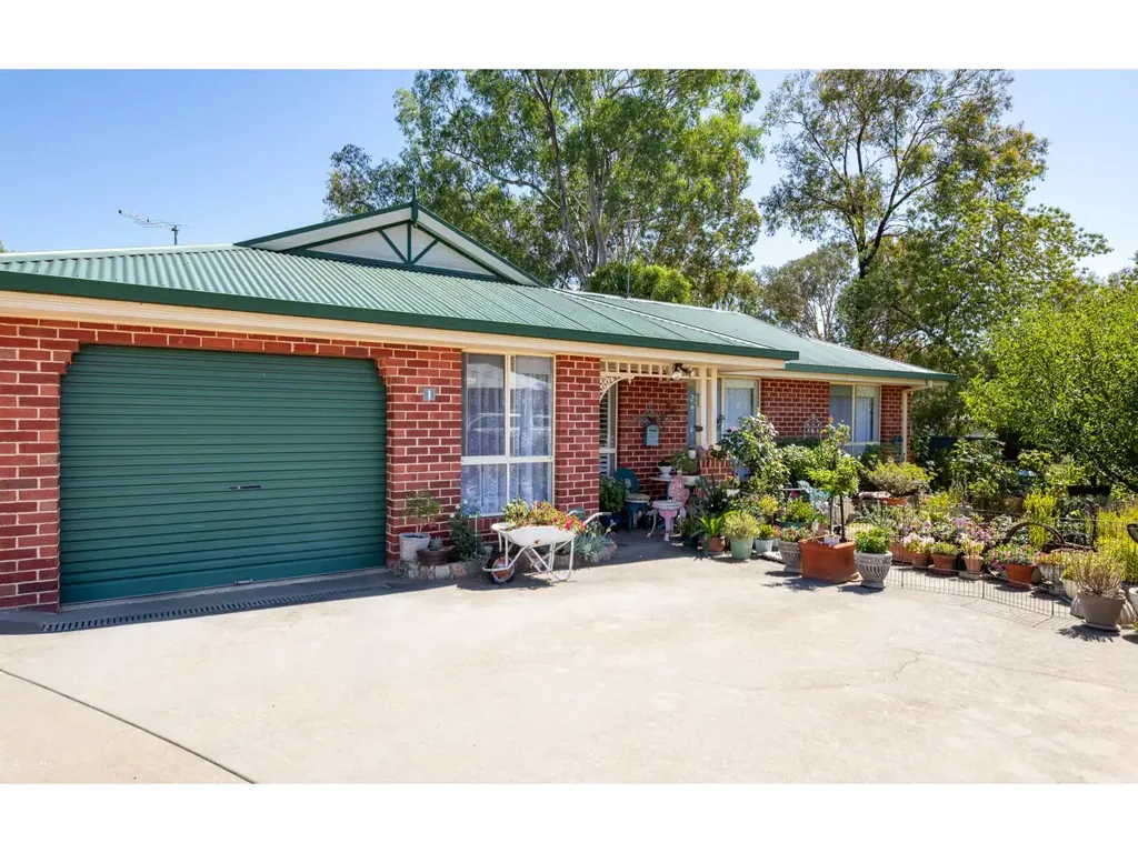 1/495 Rose Street, Lavington, NSW 2641