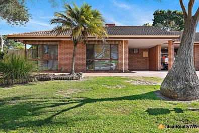 Kardinya 3房  Great Value Kardinya Lovely Home