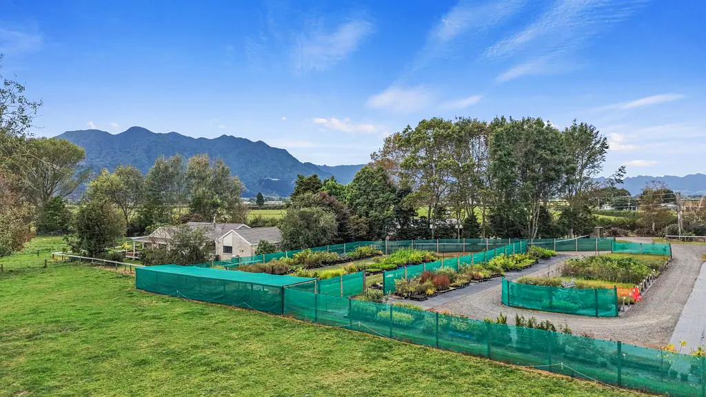 Te Aroha Lifestyle Block and Nursery Business