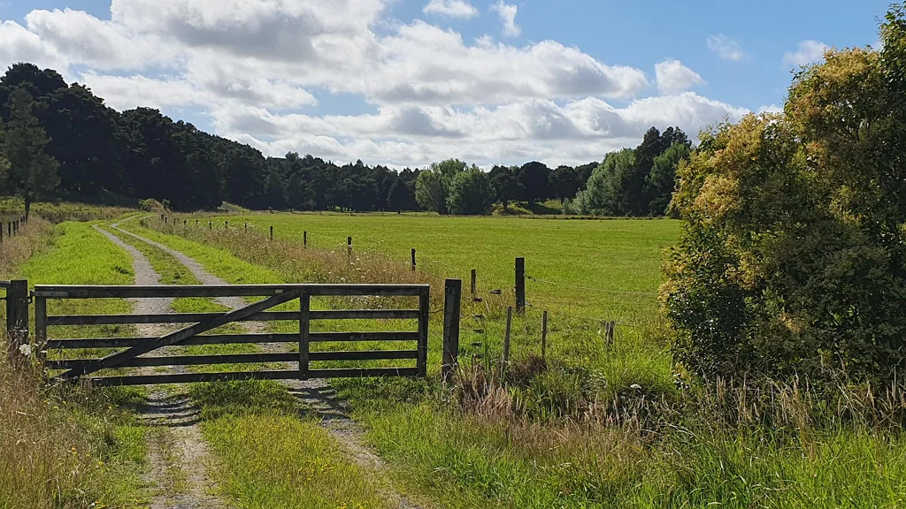 Otamatea Surrounds  Appealing Lifestyle, at One With Nature, Privacy and Tranquillity