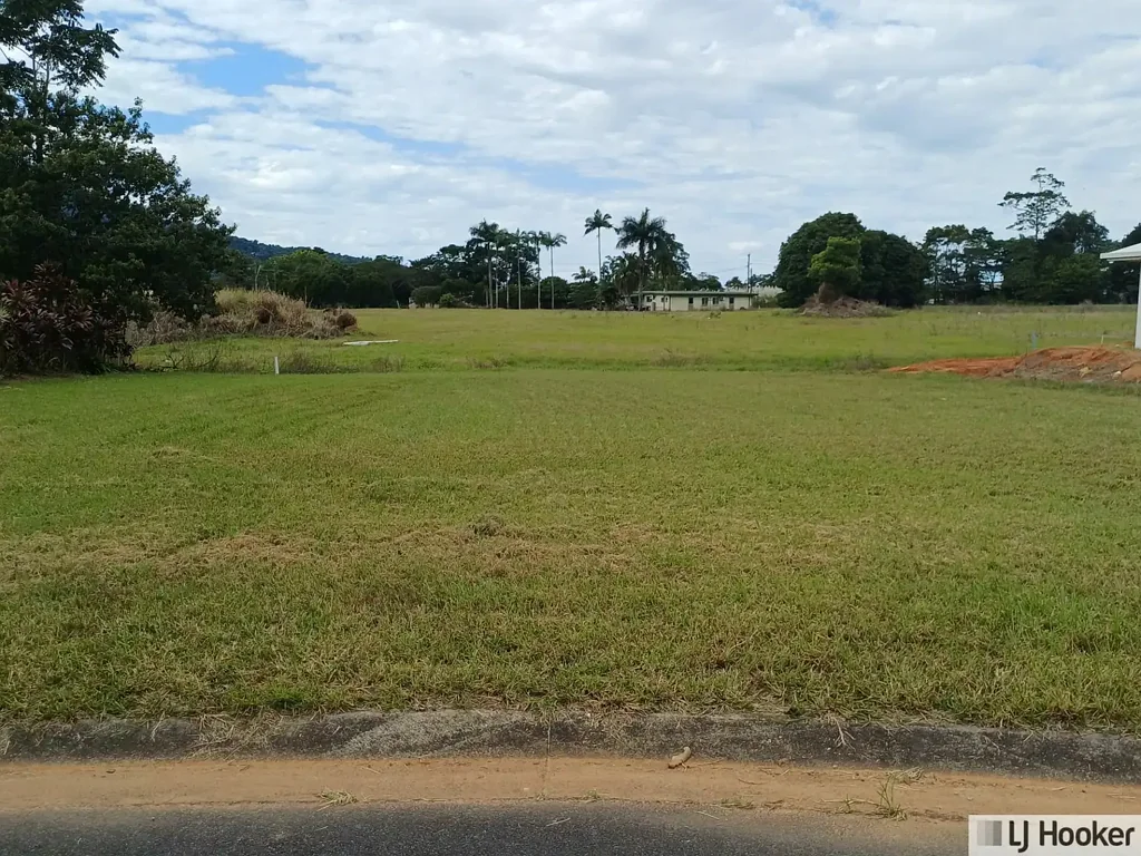 40 THEODORE ST, TULLY QLD 4854, 0房, 0浴, Section
