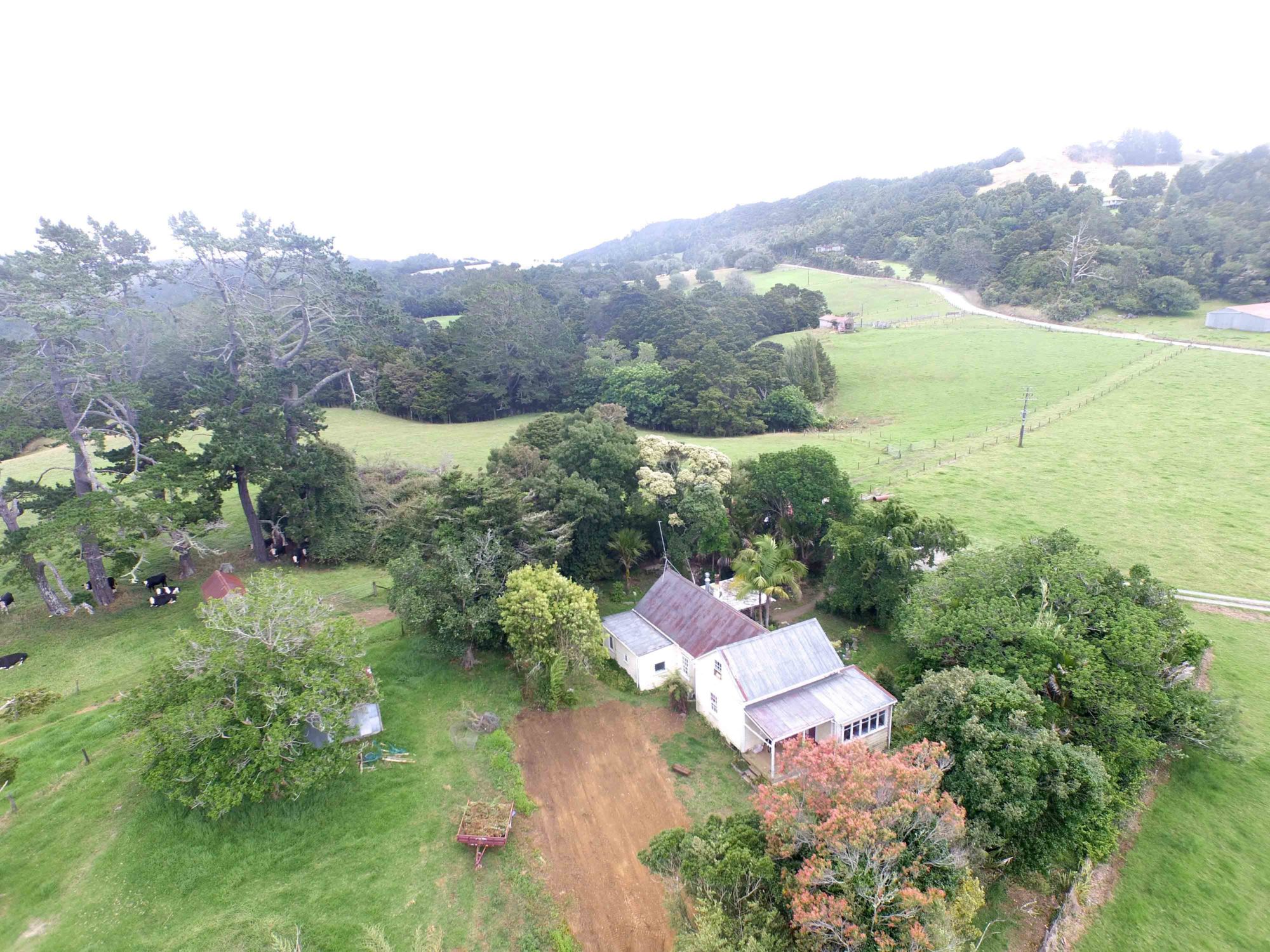 876 Waipu Caves Road, Waipu, Whangarei, 0 રૂમ, 0 બાથરૂમ