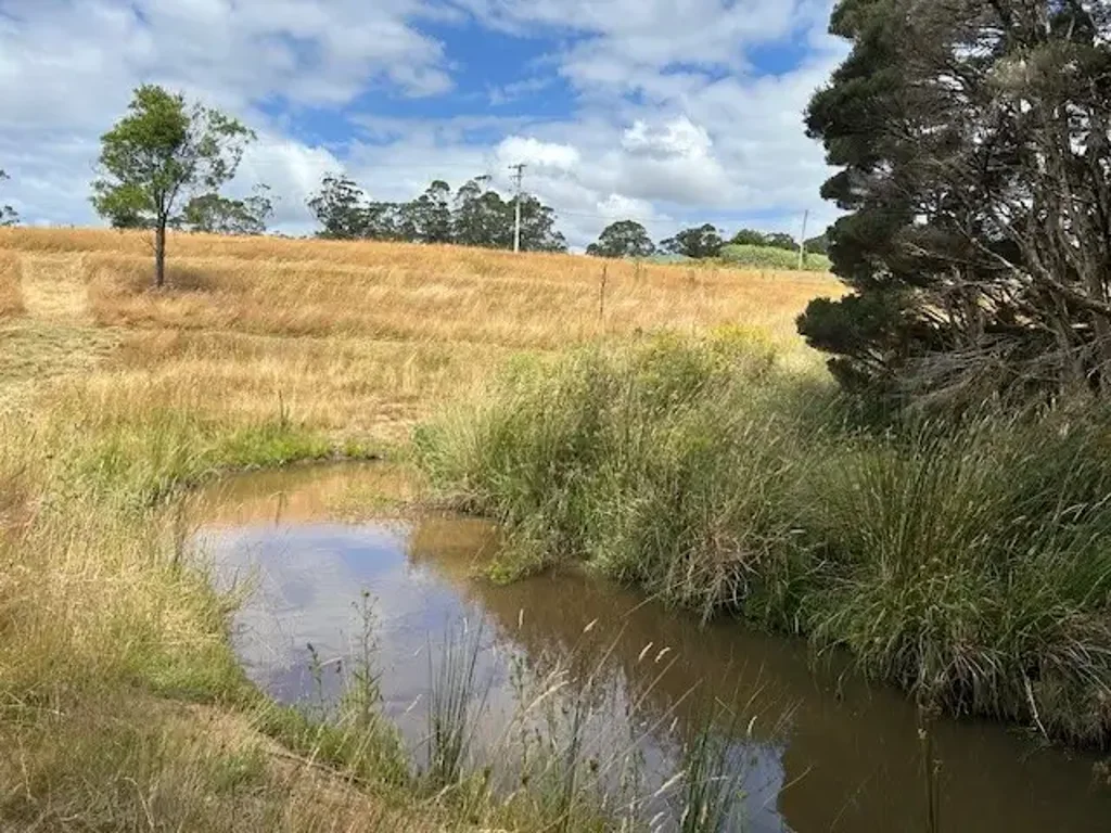 Scotchtown Approx. 1.7 hectares | Residential land | Offers over $300,000