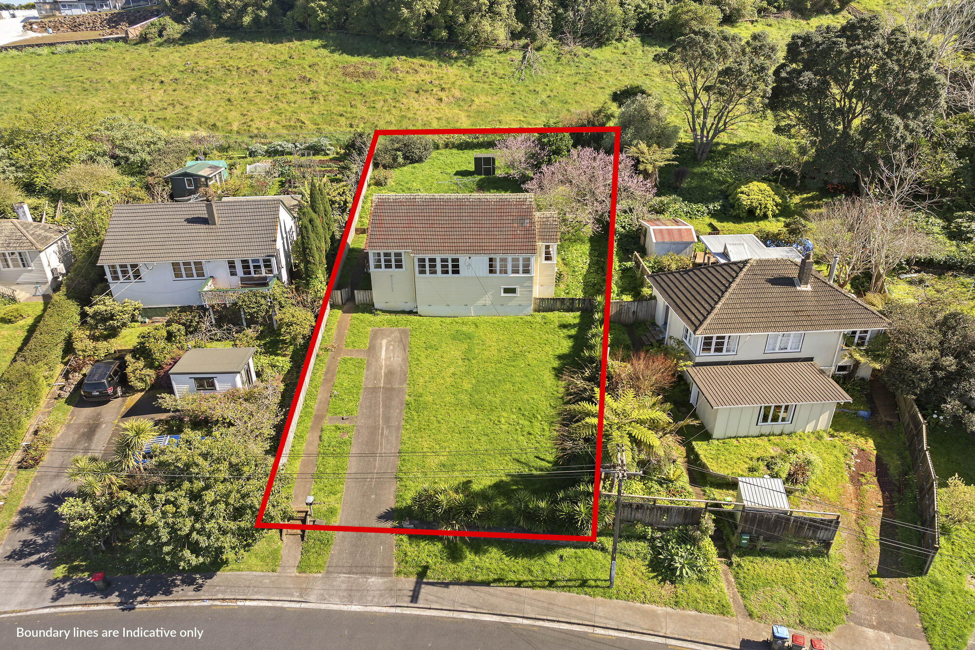 41 Mount Royal Avenue, Mount Albert, photo 1