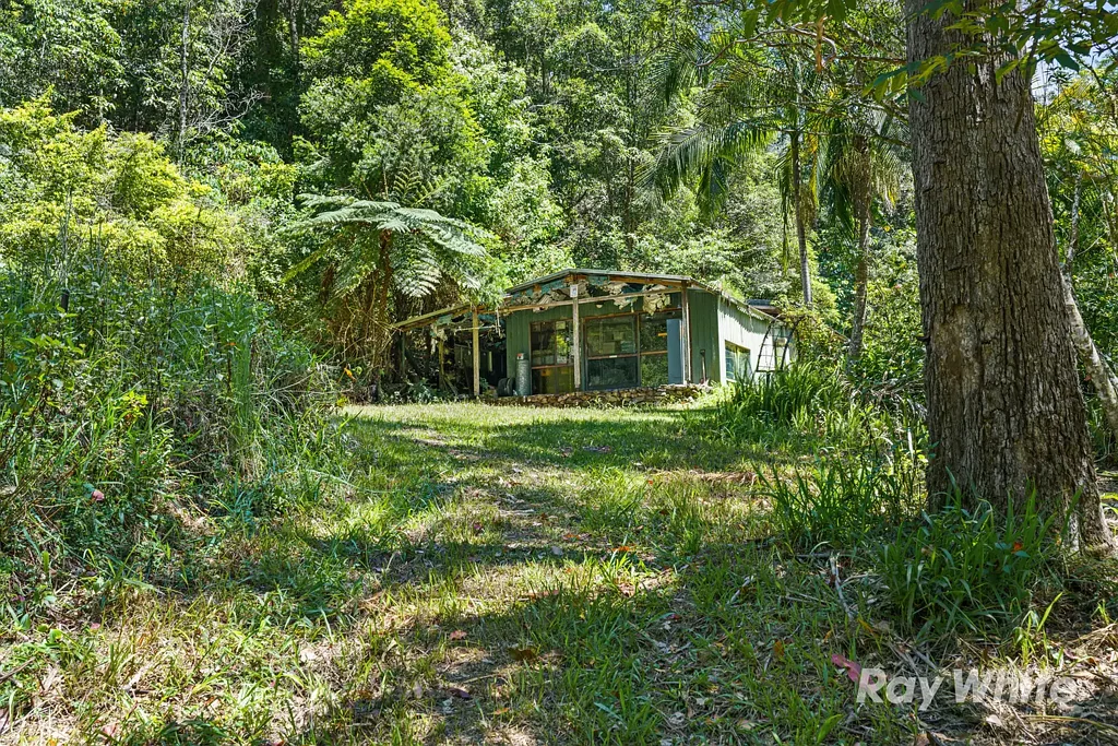Upper Crystal Creek Rainforest Sanctuary adjoining a National Park