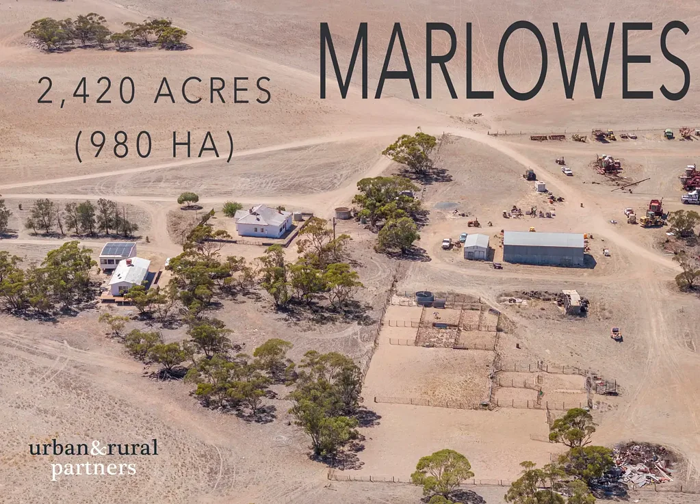 Chandada MARLOWES