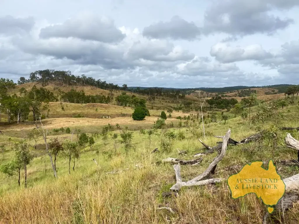 Mungy EXPRESSION OF INTEREST FOR AGGREGATION OR INDIVIDUALLY
Mungy District, Adjoining Grazing Property
