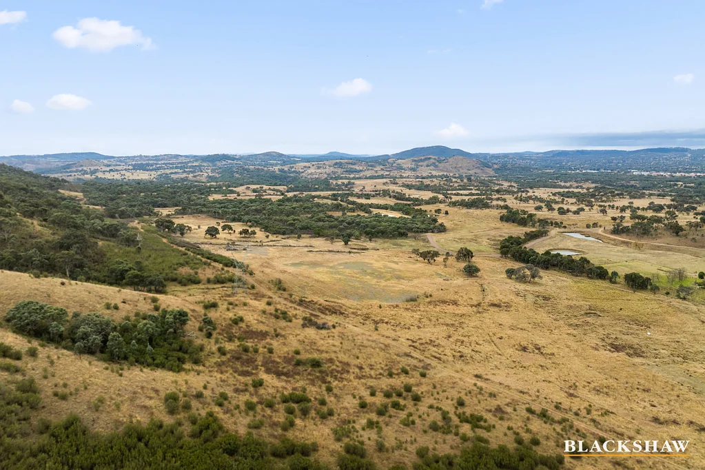 Tharwa Bullenbidgee is a peaceful 264 grazing acres minutes to Tuggeranong CBD Fronting Murrumbidgee River reserve.