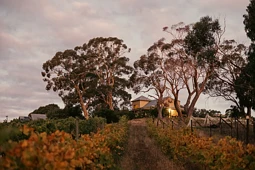 201 Zig Zag Road, Drummond North