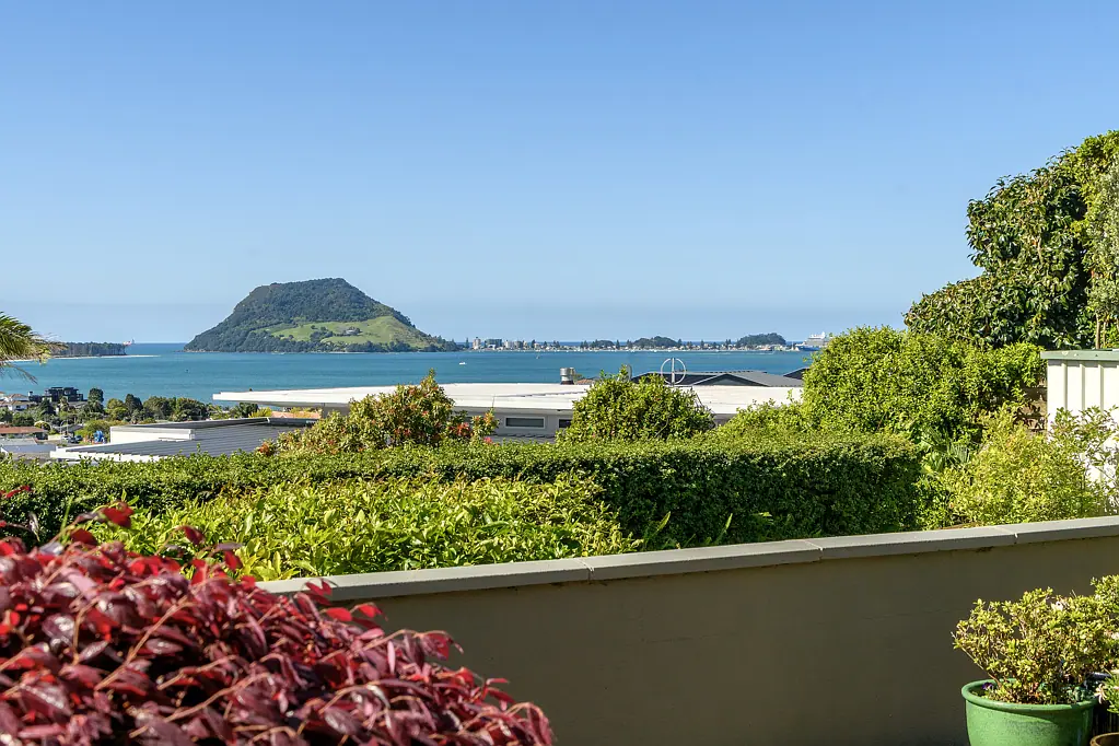 Otumoetai 3房  Relaxed living - stunning views