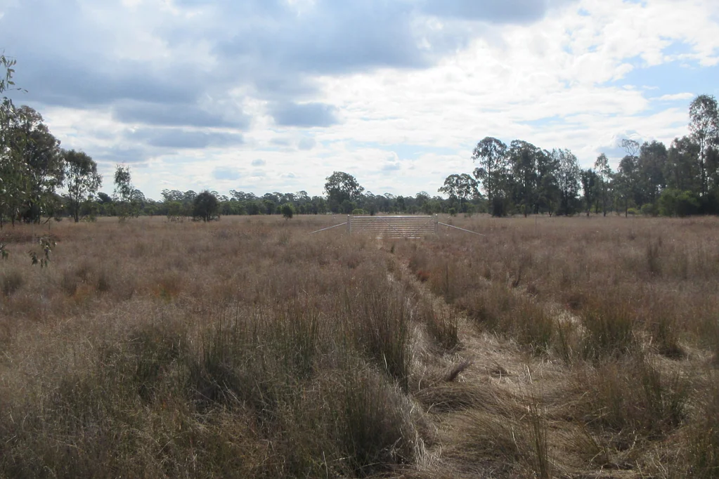 Tara  29.65 acres fully fenced, small dam.