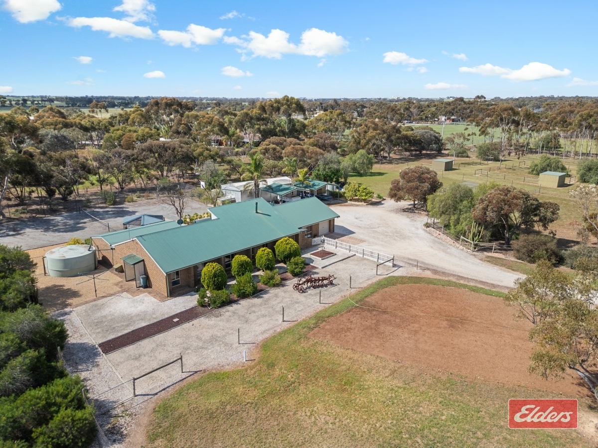 84 CLANCY RD, GAWLER BELT SA 5118, 0房, 0浴, House