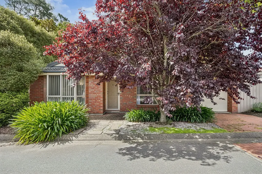 6/117 Main Street, Lobethal, SA 5241