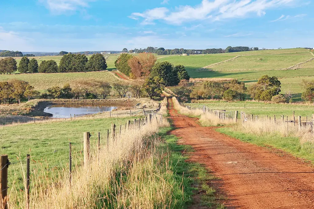 3119 Lavers Hill-Cobden Road, Simpson, VIC 3266