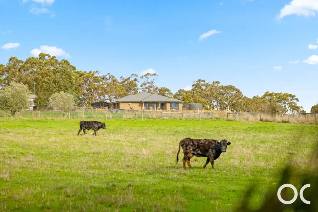 1239 Brookman Road, Dingabledinga, SA 5172