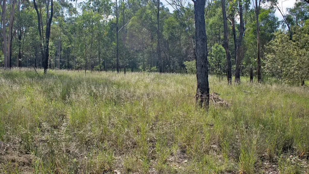 Eidsvold  VACANT LIFESTYLE BLOCK - EIDSVOLD