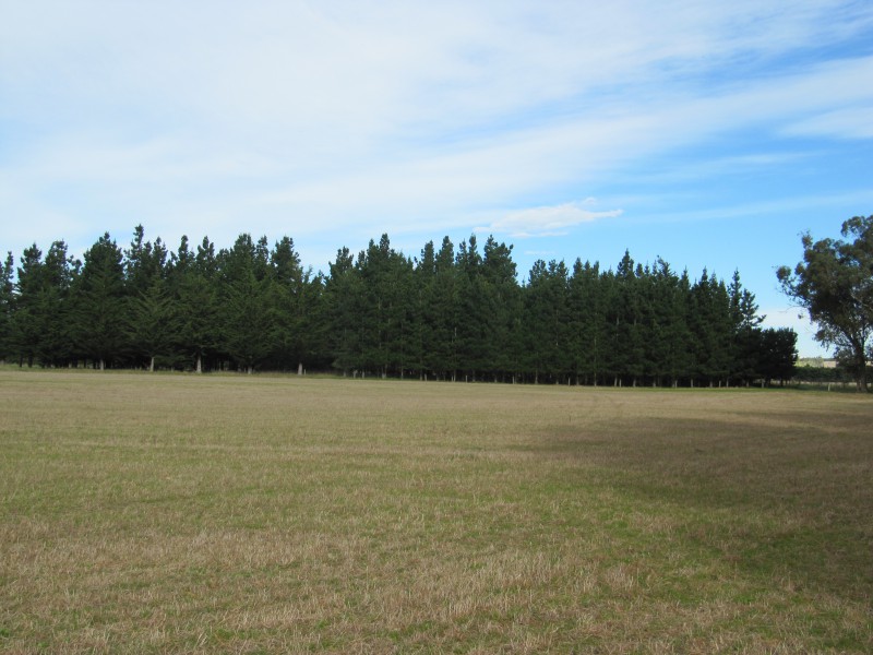 3 Blue Cliffs Road, Saint Andrews, Waimate, 0房, 0浴