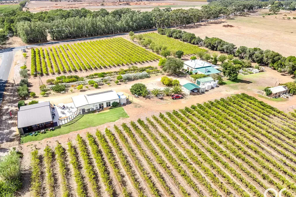 Langhorne Creek 3房  'Windsong Vineyard Estate'
A perfect lifestyle property with opportunities galore
