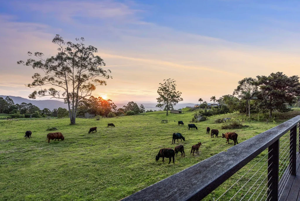 Executive Home - 20 Acres - Spectacular Views
