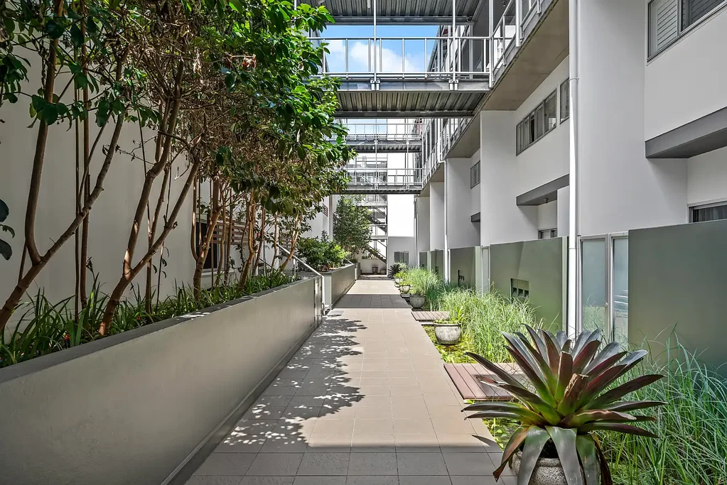 AVAIL NOW |Huge 3 Bedroom Unit In Heart of Newstead| Freshly Painted