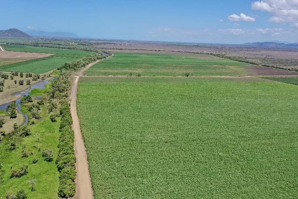 Fredericksfield  531 Acre Irrigated Cropping Property - Sheds - Machinery