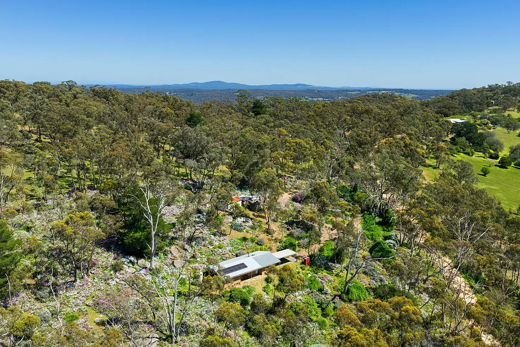 Faraday 2Kwarto Off Grid Living on 5.8 Acres of Flowering Bushland